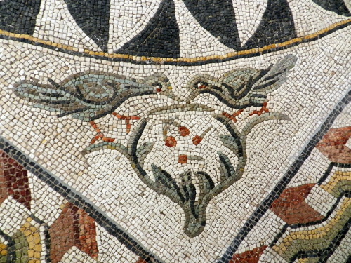 helenmilesmosaics:Birds and berries. Palazzo Massimo Museum, Rome.