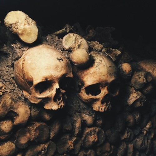 ancient-serpent:Les Catacombes de Paris… 6 Mio. bones and I’m in heaven  #paris #catacombs #bones #i