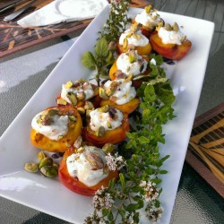 littleopticalmachine:  househusband on the road: grilled peaches (from our own tree! picked this morning!) with whipped herb goat cheese, chopped pistachio and honey