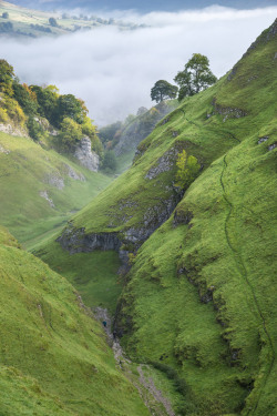 owls-n-elderberries:   	Cavedale, Castleton,