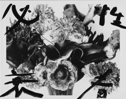 netlex:  性者　必衰  Human nature is certain decadence.  Nobuyoshi Araki