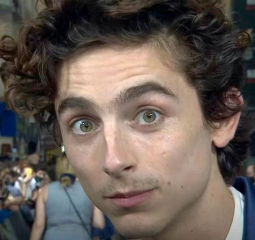 saria666: nkp1981: Timothée Chalamet Did the fan say or do something inappropriate? I need to