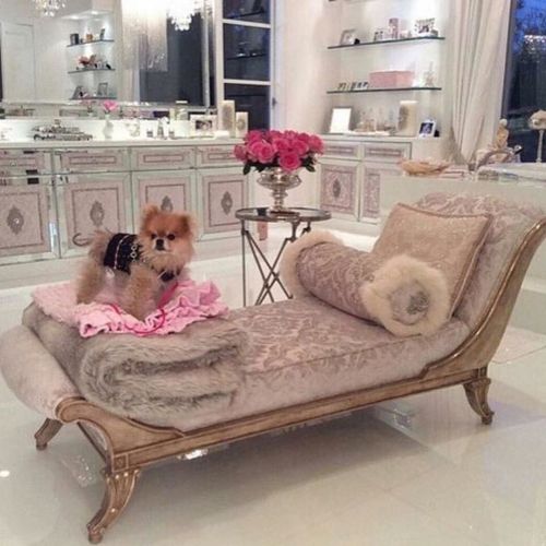 Oh hell yes….. @ladyluxury by chloe.khan