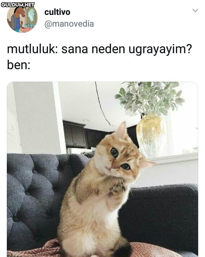 mutluluk: sana neden...