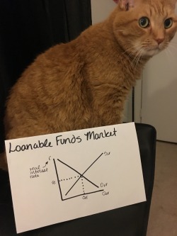 kitt-economics:The graph of the market of loanable funds is the same as any other market graph, with a downward-sloping demand curve and an upward-sloping supply curve.