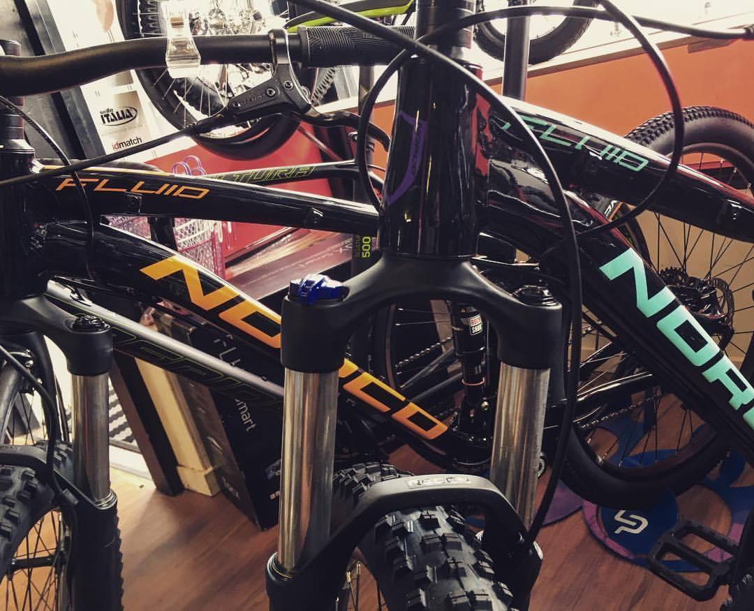 fluid ladies bike