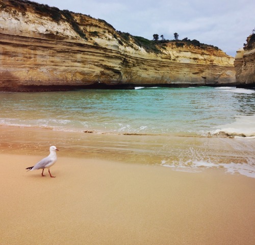 Is there anything better than a hidden beach all to yourself? Ok, I had to share it with a seagull b