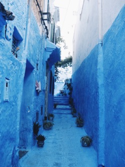 mixtapesandtravelbags: Bleuville. Chefchaouen, Morocco. August 11, 2013They don’t call it the blue city for nothing. Wall to wall, stoops to roofs, tables to chairs, it’s an explosion of blue. 