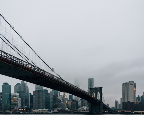 joelzimmer:   Flight / Fog  Brooklyn Bridge Park, Brooklyn 