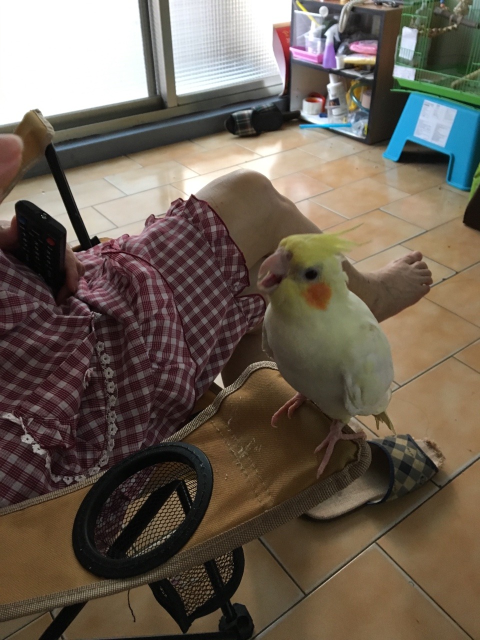 floweythebirdy:  Absolute HATE