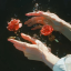 wildflower1963