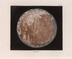 nemfrog: Plate IV. “La luna.” Atlante