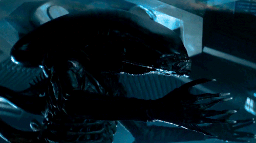 ashwilliam: endless list of my favourite movie monsters: facehuggers, xenomorphs - alien (1979)