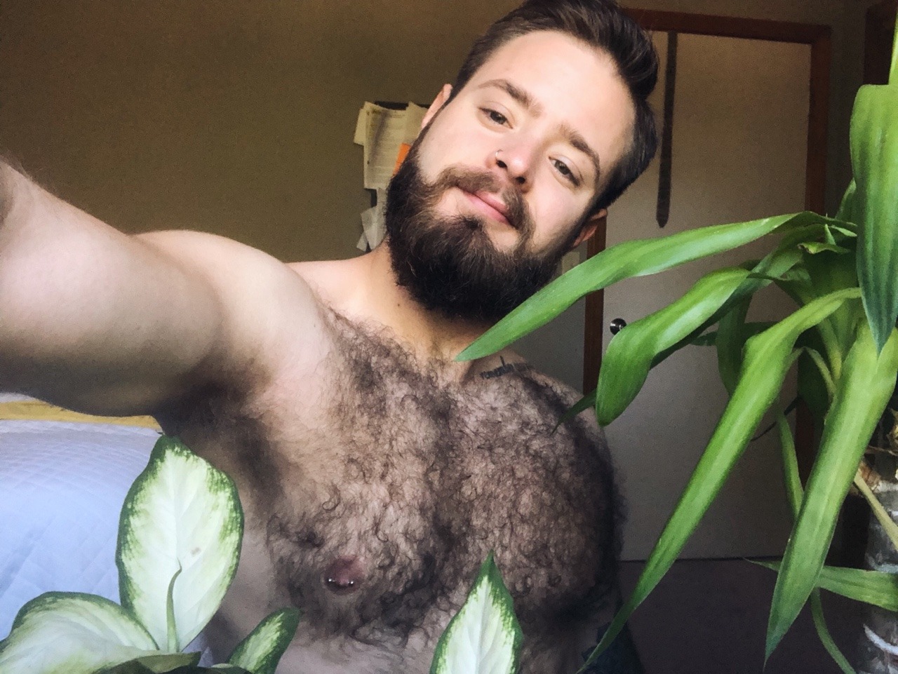 belly-rubs: plant dad real-ness.  IG @ROYandtheechoes 