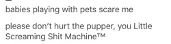 harryedward:  No offense but it’s a little strange how you guys care more about pets than children like what why u gotta call kids that 