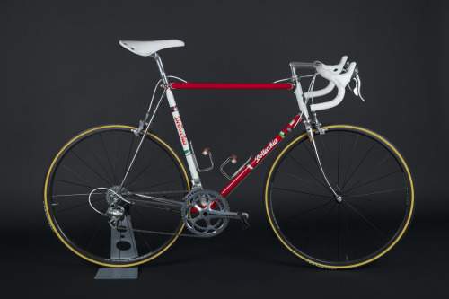 Bottecchia Equipe (by Ant Tip)
