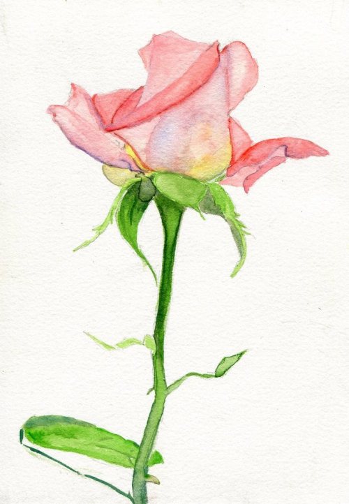 havekat: TwistedWatercolor and Gouache On Cotton Paper2017, 6"x 8"“High Society” Hybrid Te