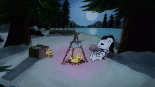 Snoopy Of The Day