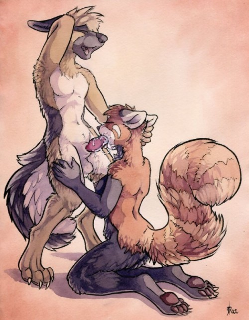 yiff-andclass:  FUCKING I WOULD YA HOE