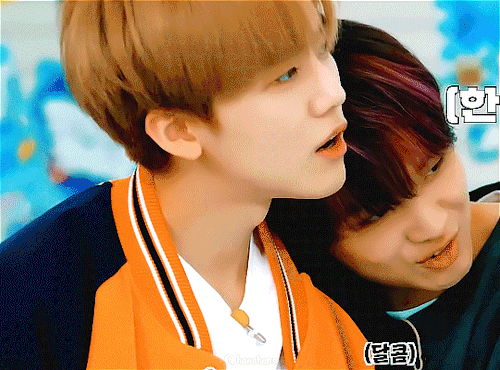 DREAM SQUAD HAECHAN