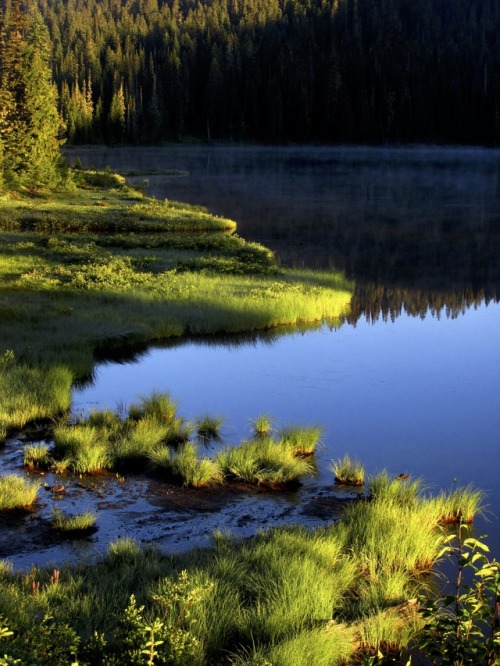 justemoinue2:Mountain Lake DawnMRNP