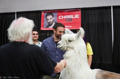 Llama. That Is All.
