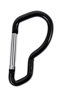 rowdyism:  PALACE CARABINER