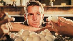 rottentomatoes:  Happy Birthday Paul Newman!