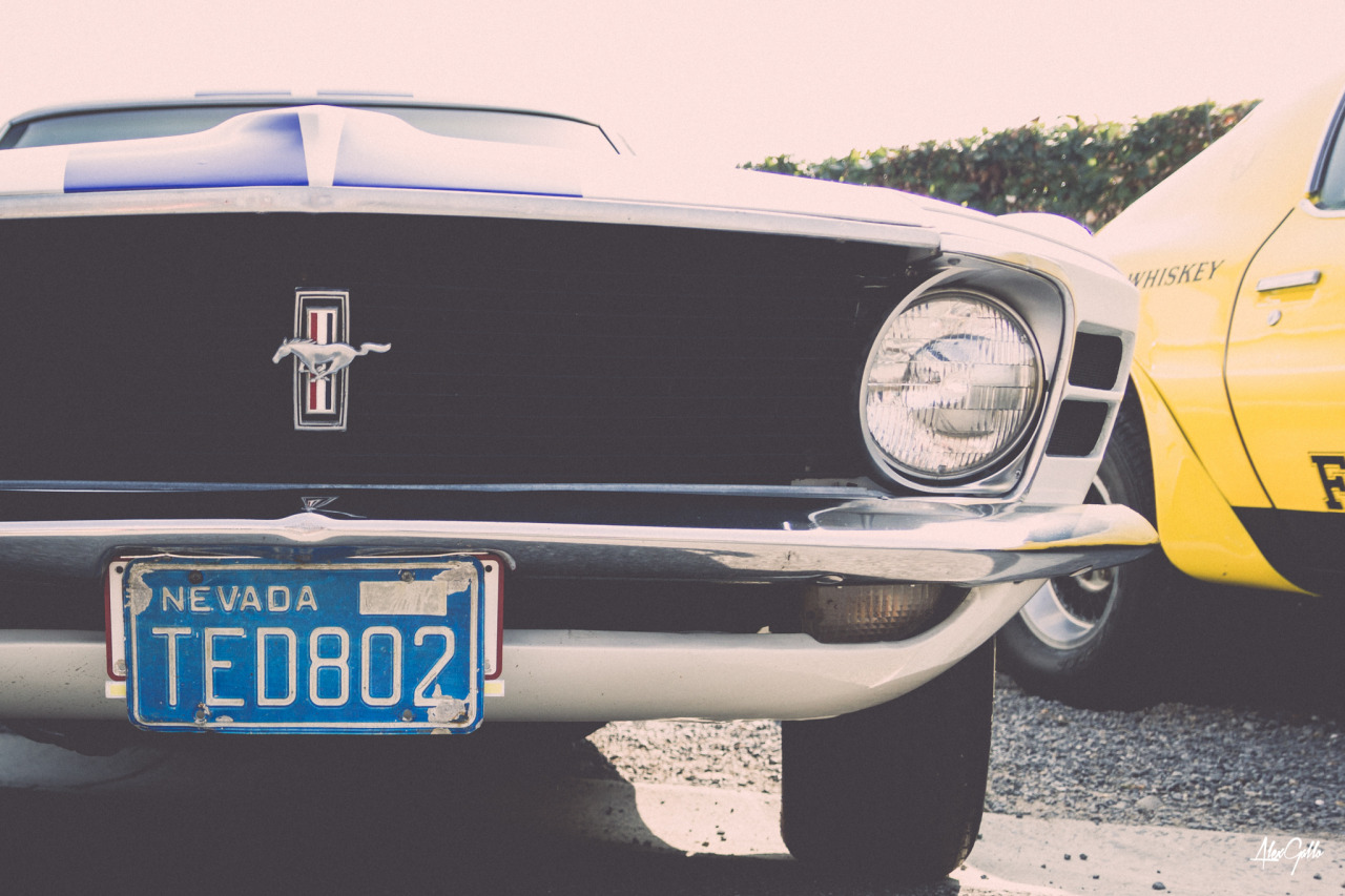 alex-gallo:  Classic Car - Ford Mustang