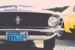 Alex-Gallo:  Classic Car - Ford Mustang