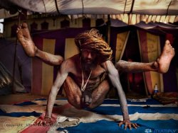 hm69:  naked sadhus with dreadlocks doing hatha-yoga 