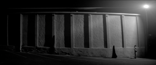 A Girl Walks Home Alone at Night (2014)Dir. Ana Lily AmirpourCinematography: Lyle Vincent