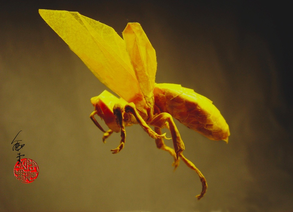 origami wasp 2.6 pdf origami wasp 2.6 pdf