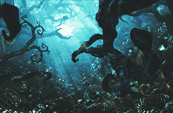drogonhasmoved-deactivated20160:   Alice in Wonderland + Scenerygasm  