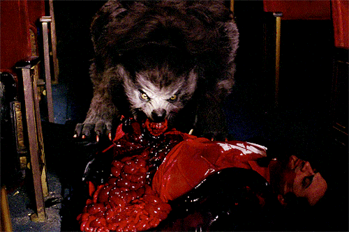 Even A Man Who Is Pure In Heart And Says His Prayers By Night, May Become A Wolf When The Wolfbane Blooms