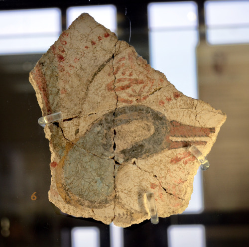greek-museums:Archaeological Museum of Thebes:Wall-painting fragments from the mycenaean period, dep