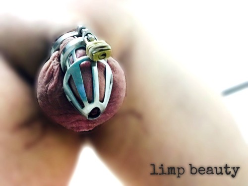 chastitychronicles:  Limp impotent caged cock. 