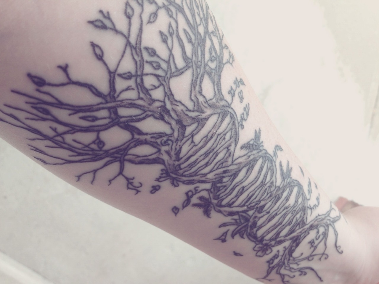 fuckyeahtattoos:  Family tree with my family members initials around it and kind