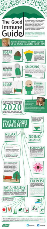 ahealthblog: The Good Immune Guide Infographic ➡ www.ahealthblog.com/the-good-immune-guide-in