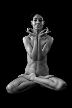 Padmasana forever! fuckyeahlotuspose: Vixen