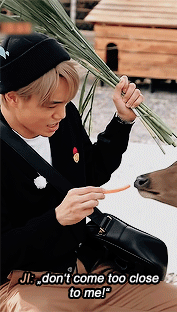 kaibility:EXO and the deer family → travel the world on EXO’s ladder season 2, episode 22.