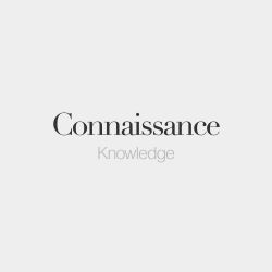 bonjourfrenchwords:Connaissance (feminine