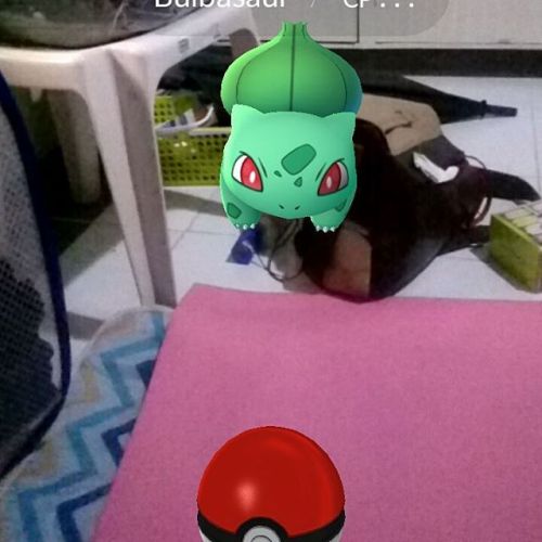 @jmnable may nakapasok na #Bulbasaur sa kwarto!#PokeMonGo #pokemonsofmanila (at Makati, Philippine