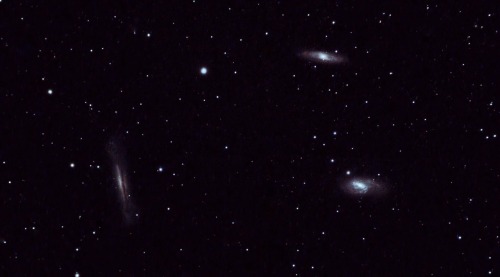 capturingthecosmos:Last night I shot The Leo Triplet. A small group of galaxies about 35 million lig