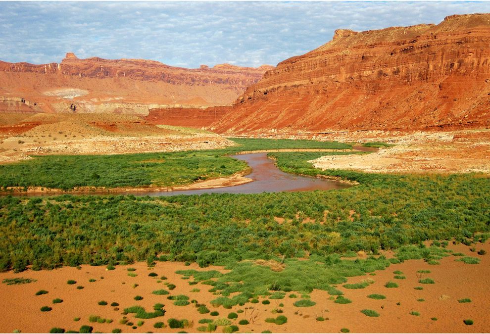 Reflection Canyon, part of Lake Powell in Glen Canyon. The &ldquo;bathtub rings&rdquo;