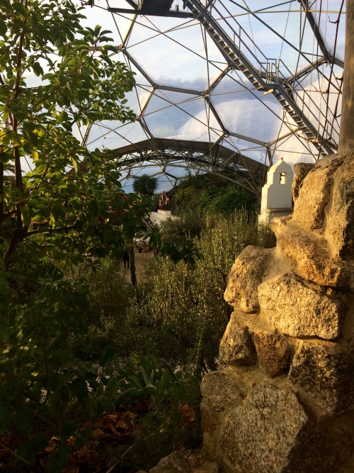 inforthemonet:  The Eden Project, UK (a little slice of jungle in a massive bubble). 