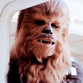 princesleiasolo:Star Wars + really fuckin strong hair game