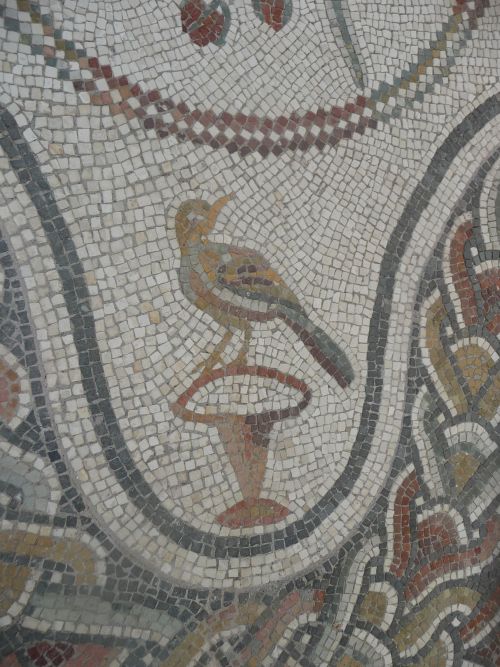 romegreeceart:Palazzo Massimo - Bird mosaics * Rome, Porta Ardeatina* 3rd century CERome, July 2015A