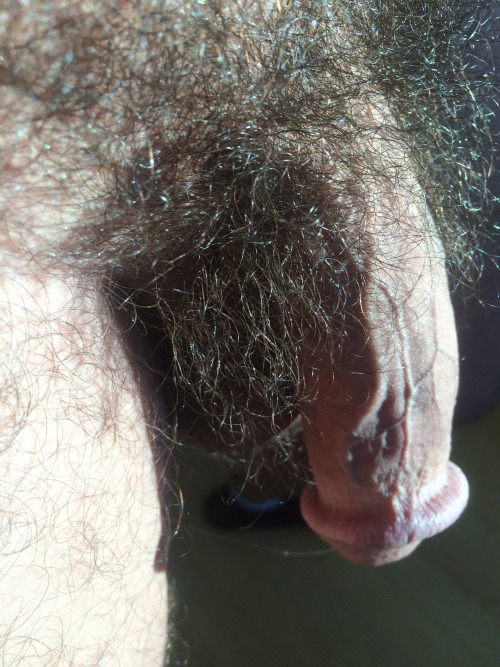 Porn HairyCutJerker photos