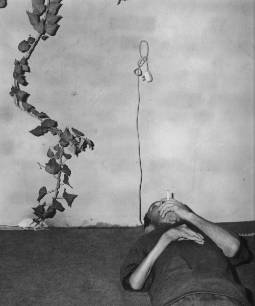 an-overwhelming-question:  Roger Ballen - Inmate, 2003 